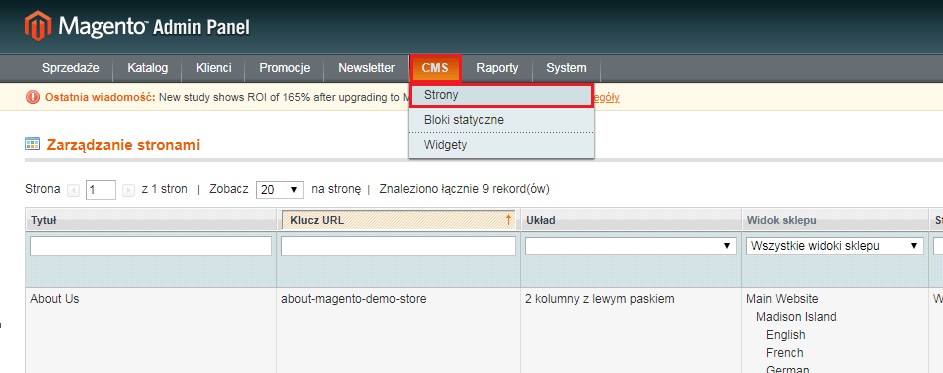 Strony informacyjne Magento. Opcje strony w zakładce CMS w panelu administracyjnym Magento.