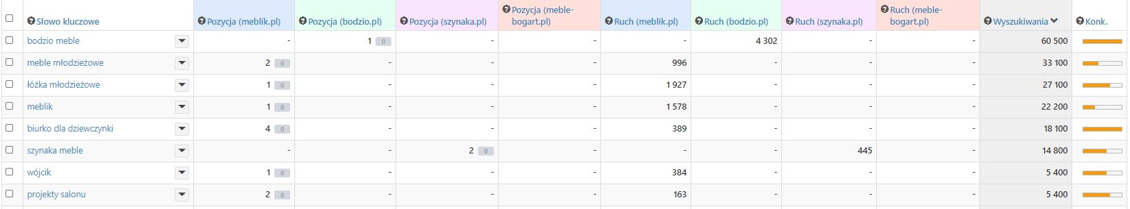 raknikng-sklepow-badanie-konkurencji-w-internecie-ranking-slow