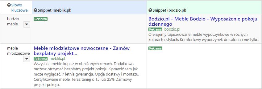 raknikng-sklepow-badanie-konkurencji-w-internecie-reklamy