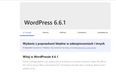 czyszczenie-pamieci-cache-wordpress-elementor-1